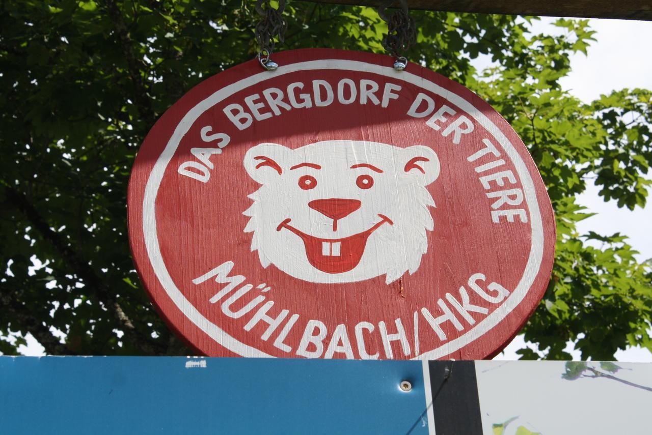 Muehlbach Alpendomizil II Daire Mühlbach am Hochkönig Dış mekan fotoğraf