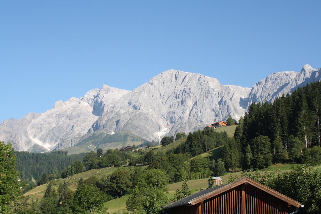Muehlbach Alpendomizil II Daire Mühlbach am Hochkönig Dış mekan fotoğraf
